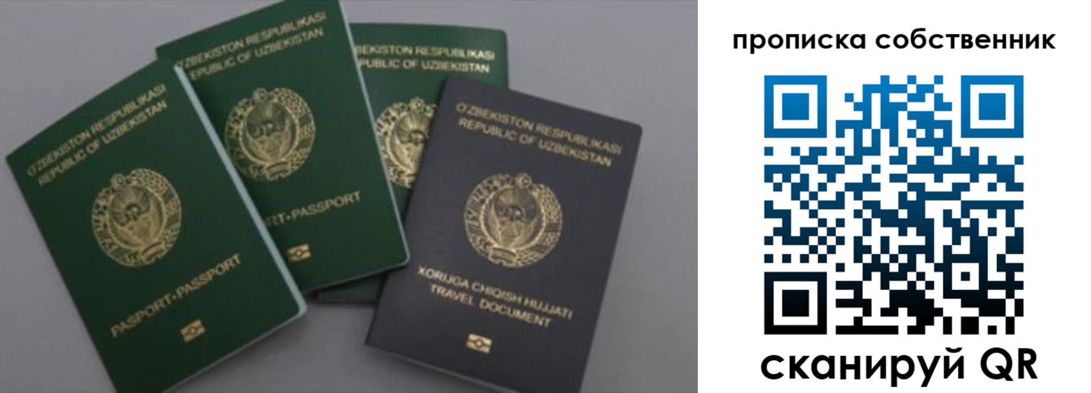 прописка штамп в Алексеевке